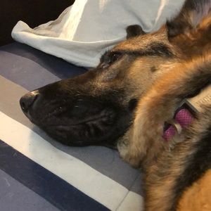 Meet your Posher, Mack